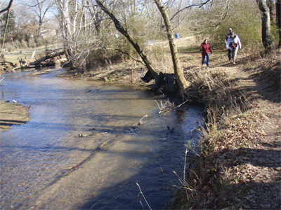 Hiking along the edge of North Mouse Creek