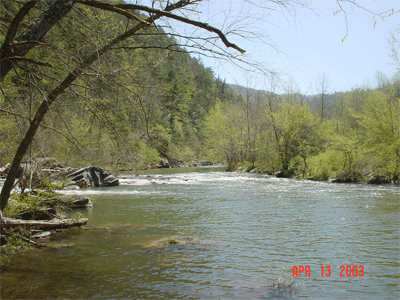 The Hieassee Ricer above the confluence with Coker Creek