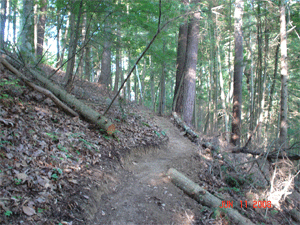 Side Slope trail