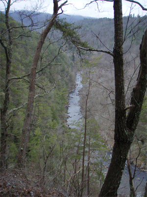 Hiwassee River Gorge from the trail