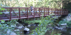 Bridge over Snowbird Creek near parking area