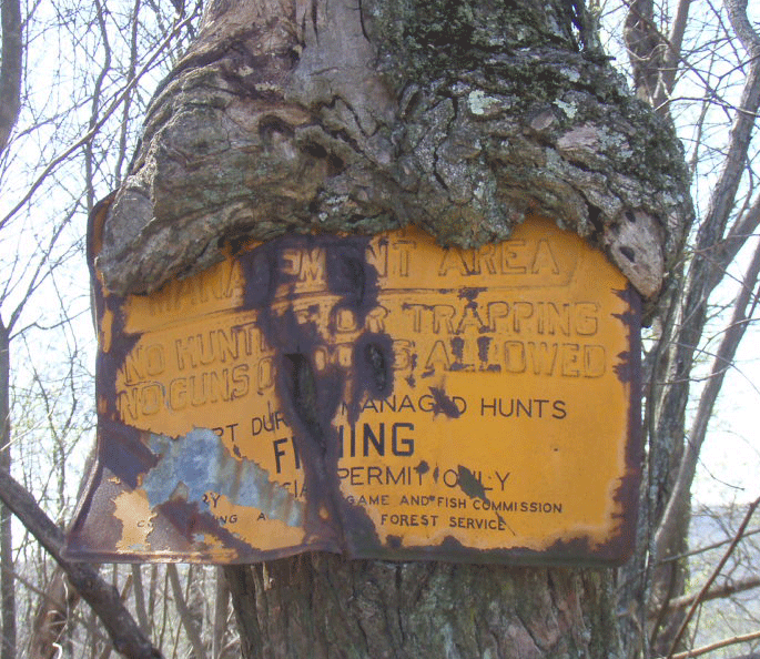 A really old sign