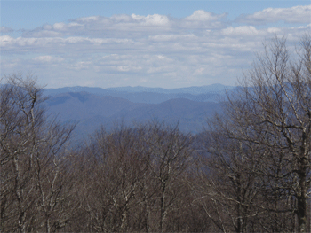 View from Bob Bald
