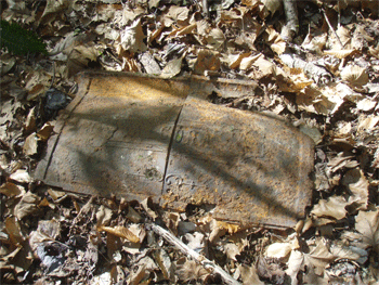A piece off a railroad engine lying by the side of the trail
