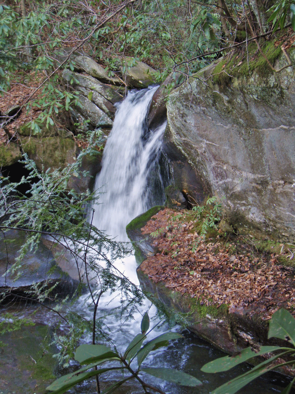 A waterfall on Ike Branch