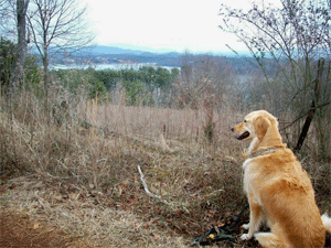 Jake enjoying the view