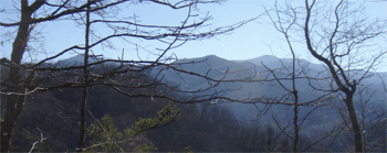 View from Lumber Ridge Trail