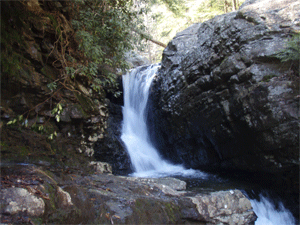 Lower Falls of Rock Creek