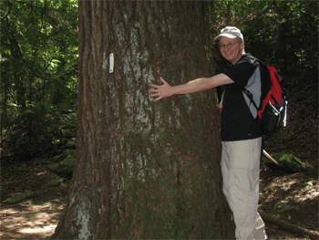 Randy, the tree hugger - old growth hemlock